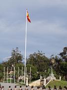 50 Aniversario 174